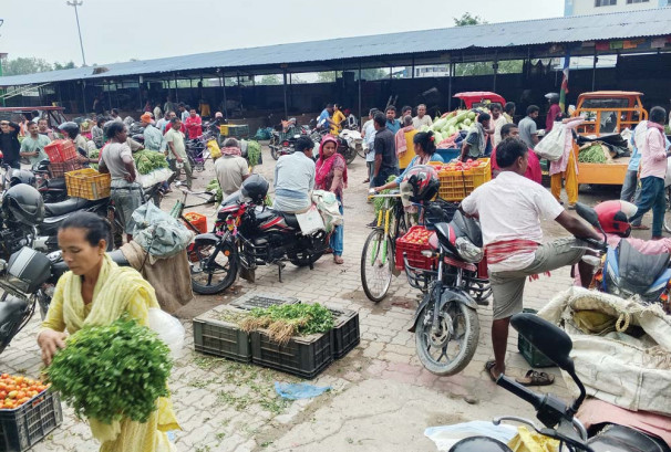 लगातार वर्षाले तरकारी उत्पादन घट्यो, मूल्य आकासियो