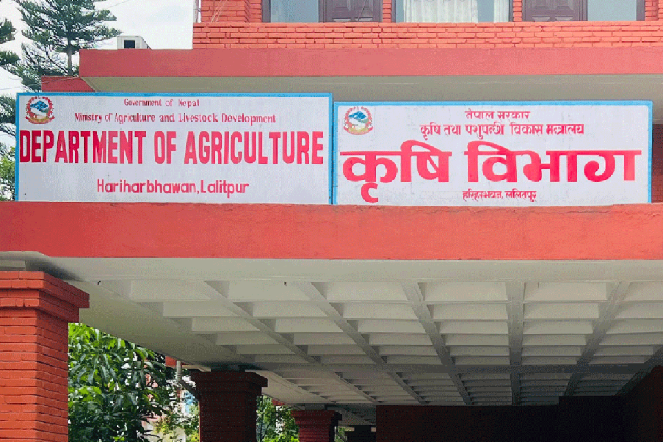 गुणस्तरीय बीउमा किसानको पहुँच बढाउन ५८ स्थानीय तहमा बीउ उत्पादन कार्यक्रम