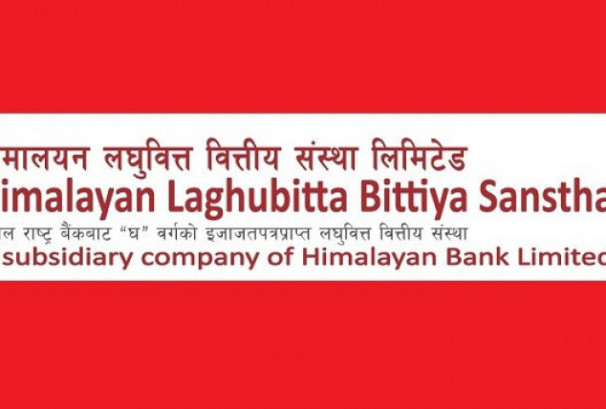 हिमालयन लघुवित्तको नाफा ४९% ले बढ्यो, कस्तो छ समग्र वित्तीय अवस्था ?