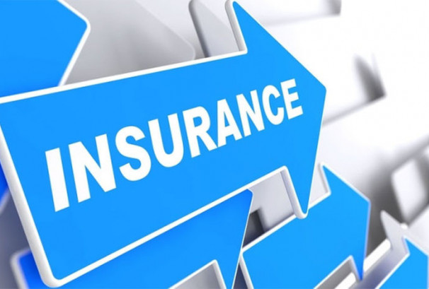 तीन बीमा कम्पनीको मात्रै सेयरभाउ बढ्यो, सर्वाधिक गुमाउनेमा प्रभु महालक्ष्मी लाइफ