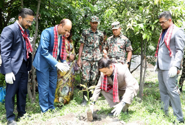 ग्लोबल आइएमई बैंकद्वारा देश व्यापीरुपमा वृहत् बृक्षारोपण कार्यक्रम आयोजना