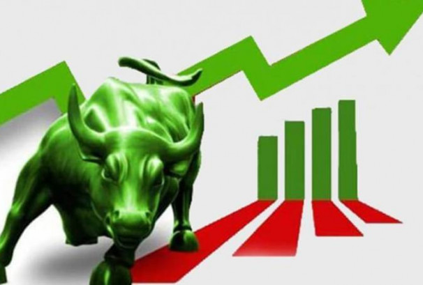 रास्वपाद्वारा पूँजी बजारमा एनआरएन भित्राउने र पब्लिक वेयरहाउजिङ ऐन जारी गर्ने योजना सार्वजनिक