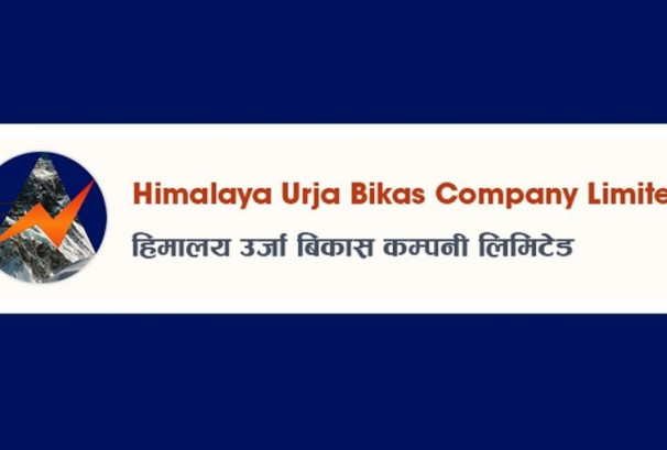 हिमालयन उर्जा विकास कम्पनीको स्वतन्त्र सञ्चालकमा पाण्डे नियुक्त