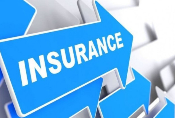 २६ बीमा कम्पनीको सेयरभाउ बढ्यो, सर्वाधिक कमाउनेमा क्रेष्ट माइक्रो लाइफ