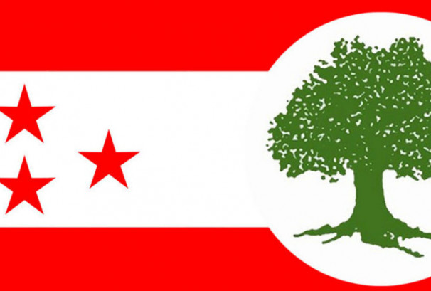 नेपाली कांग्रेसद्वारा गृहमन्त्रीमाथि उठेका आरोपबारे निष्पक्ष छानबिनको माग