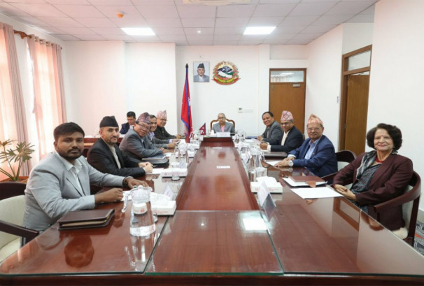 सरकारद्वारा  ७ लाख थान विद्युतीय राहदानी खरिद गर्ने निर्णय