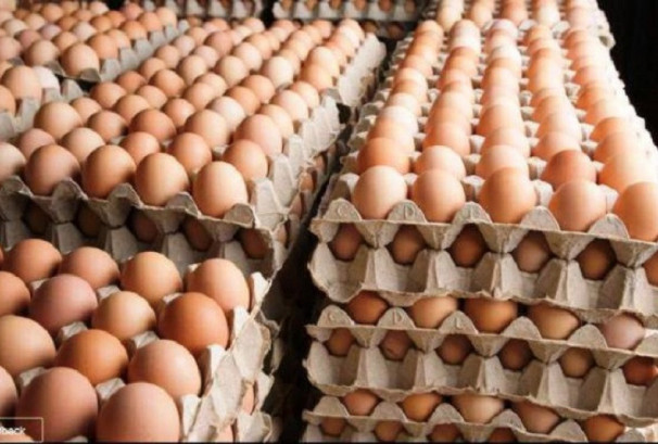 अण्डाको उत्पादन घट्दा मूल्य वृद्धि