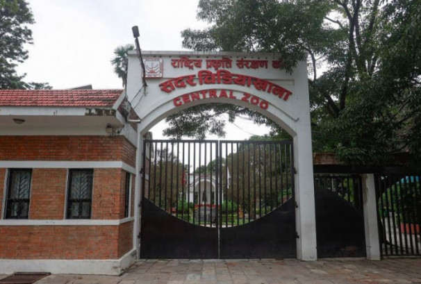 बर्ड फ्लु लुकाइएको आरोपपछि जावलाखेल चिडियाखानामा हलचल, प्रमुख साह हटाइए; ३ सदस्यीय छानबिन समिति गठन
