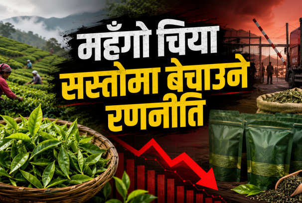 नेपाली चियामाथि भारतको वार्षिक ‘ब्ल्याकमेल’