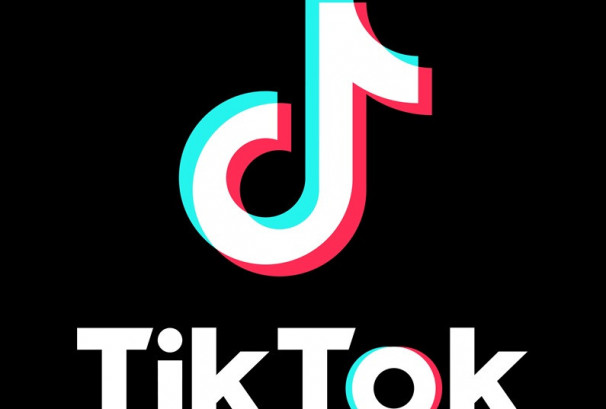 निर्वाचन आयोगसँगको सहकार्यमा टिकटकले सुरु गर्यो इन-एप इलेक्सन सेन्टर