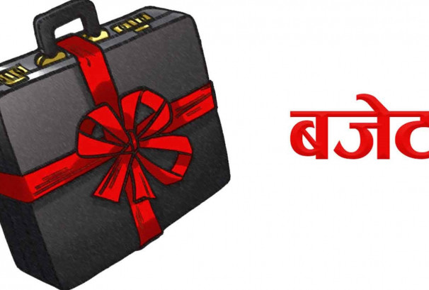 बजेटका लागि सरकारको डिजिटल परामर्श अभियान, सुझाव सङ्कलन पोर्टल सञ्चालन