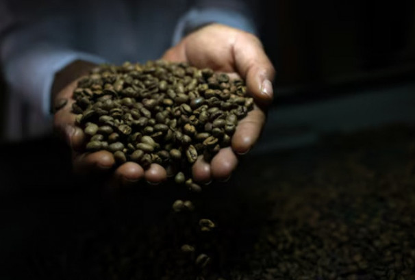 डोनाल्ड ट्रम्पले ट्यारिफ हटाएसँगै विश्वबजारमा कफिको मूल्य घट्यो