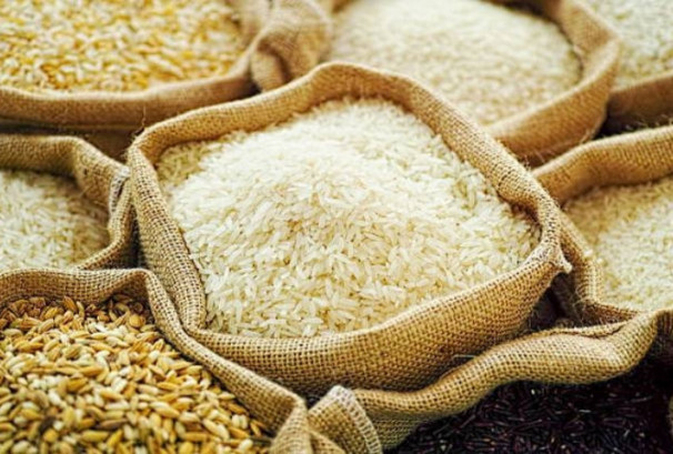 धानचामलमा बढ्दो परनिर्भरता, एक वर्षमै बाहिरियो करिब ४० अर्ब