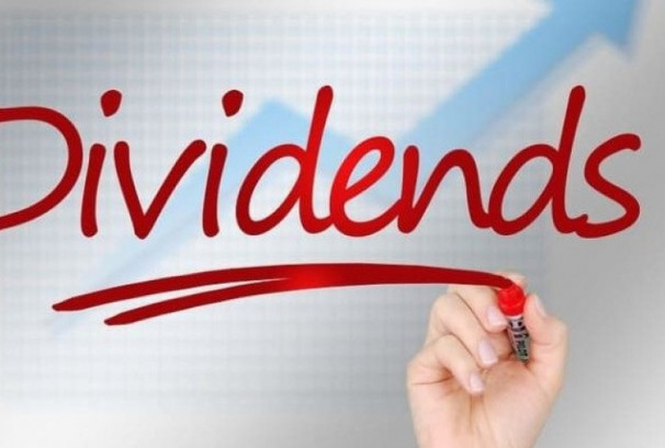 साल्ट ट्रेडिङको लाभांश घोषणा