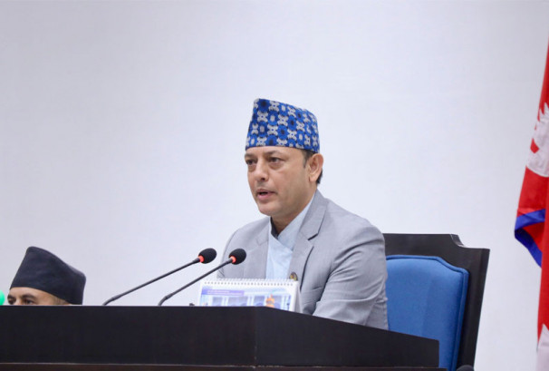 बजेट कार्यान्वयनको बाटो खुल्यो, प्रतिनिधिसभाले गर्‍यो विनियोजन विधेयक पारित