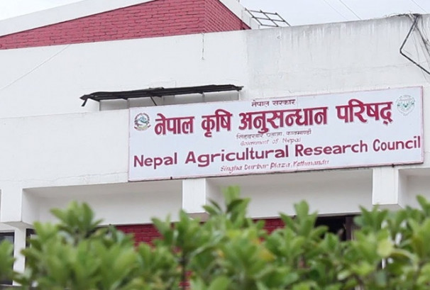 बेपत्ता कर्मचारीमाथि कारबाही एक्सन सुरु, नार्कबाट सुरुवात