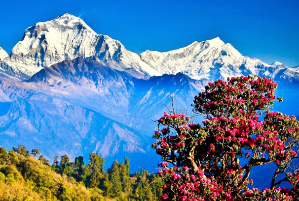 प्रकृतिसँग जोडिएका विश्वका देश: नेपाल पहिलो नम्बरमा, अमेरिका र बेलायत धेरै पछाडि