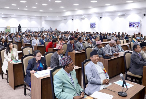 निजी सञ्चारमाध्यममाथि विज्ञापन रोकिएको विषय संसदमा उठान