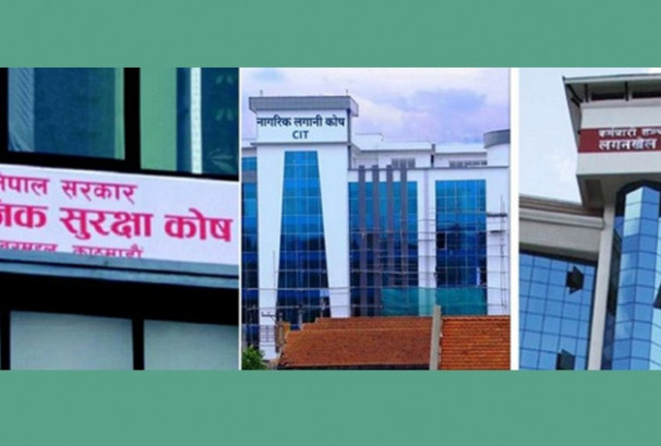 यी तीन कोषले पीईभीसीमा लगानी गर्न पाउने