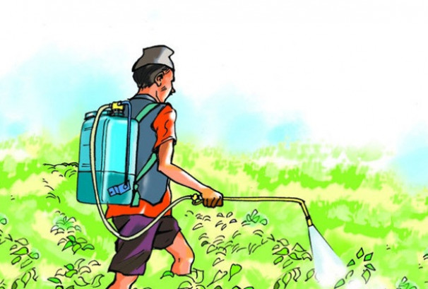 तरकारी नमूनामध्ये १२६ वटामा उपभोग गर्न नहुने स्तरको विषादी भेटियो