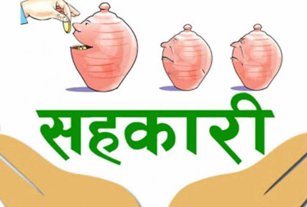 पाँच समस्याग्रस्त सहकारीका ११४ ठूला ऋणी सार्वजनिक