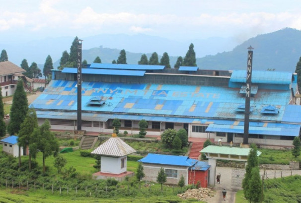 भारतको अवरोधपछि इलामका चिया उद्योग बन्द, हजारौँ मजदूर प्रभावित