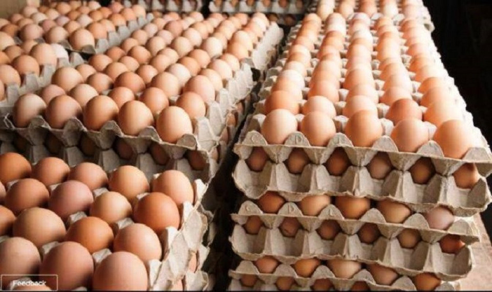 अण्डाको मूल्य बढ्यो, प्रतिक्रेट कति ?