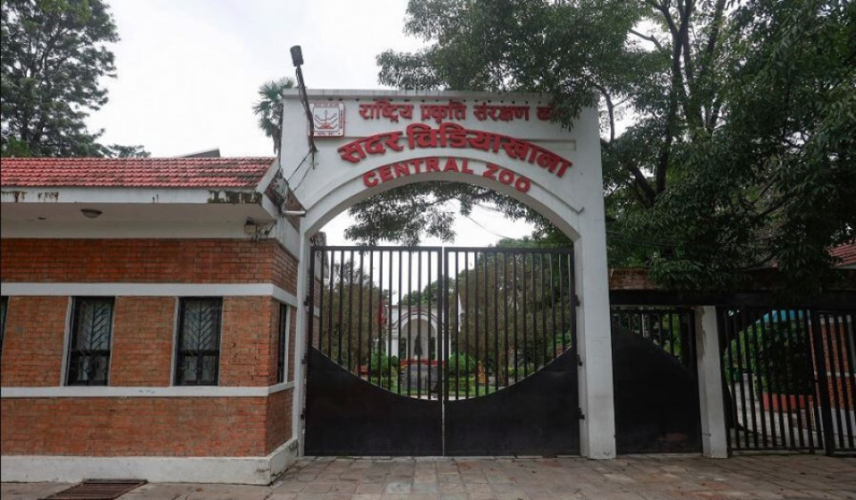बर्ड फ्लु लुकाइएको आरोपपछि जावलाखेल चिडियाखानामा हलचल, प्रमुख साह हटाइए; ३ सदस्यीय छानबिन समिति गठन