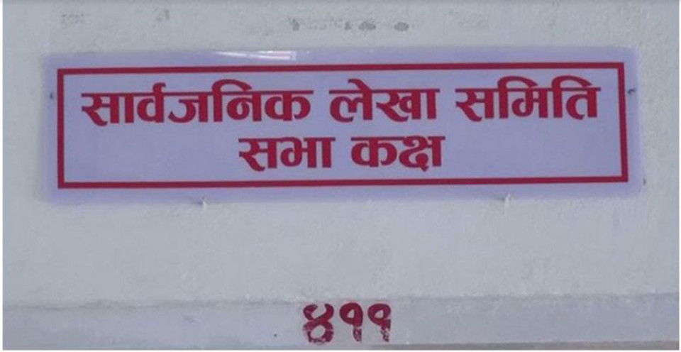 प्राविधिक कारण देखाउँदै सार्वजनिक लेखा समितिको रोकियो बैठक