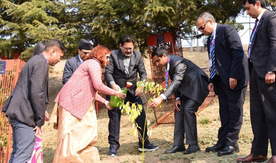नेपाल एसबिआई बैंकद्वारा पशुपति मन्दिर परिसरमा वृक्षारोपण कार्यक्रम आयोजना
