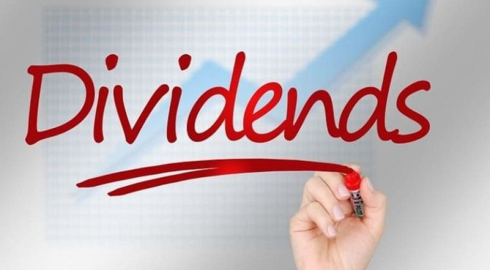 साल्ट ट्रेडिङको लाभांश घोषणा