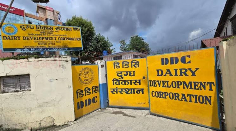 डीडीसीको चेतावनी : साउनभित्र नवीकरण नगर्ने सहकारी र फार्मको दूध नकिन्ने