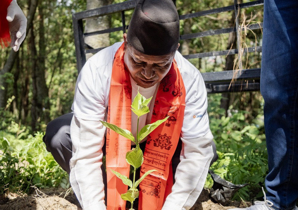 टीभीएस मोटर र जगदम्बा मोटर्सले १०० रूख रोप्दै विश्व वातावरण दिवस मनाए